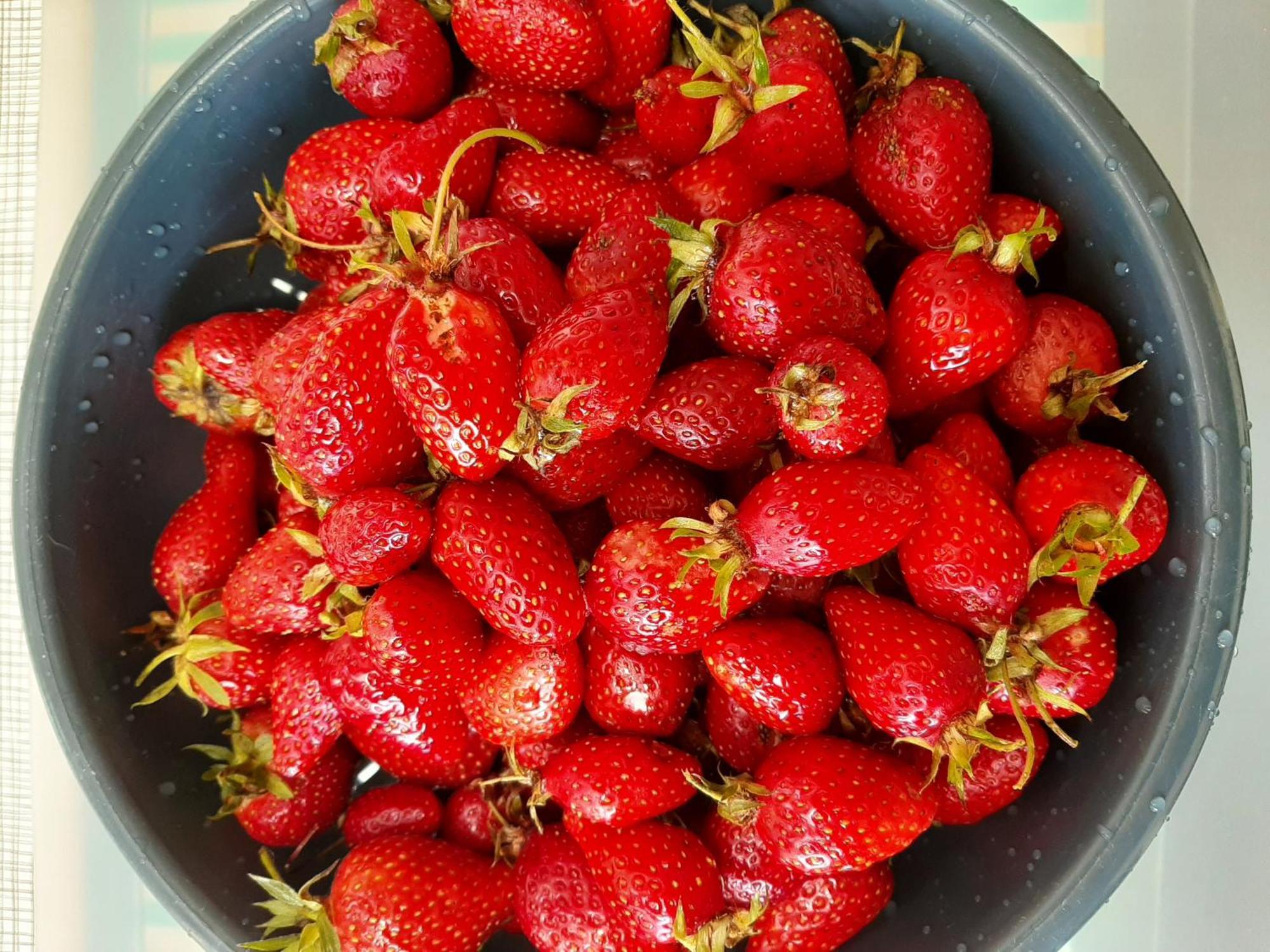 하르델로 플라주 Chez Blandine & Pol B&B 외부 사진